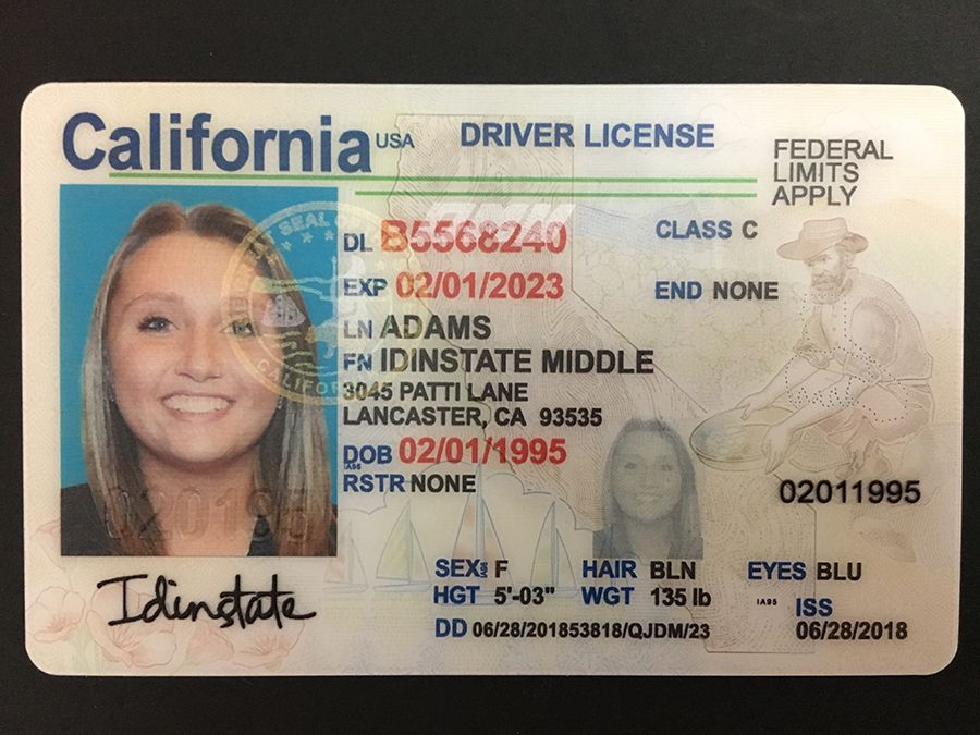 create fake drivers license online